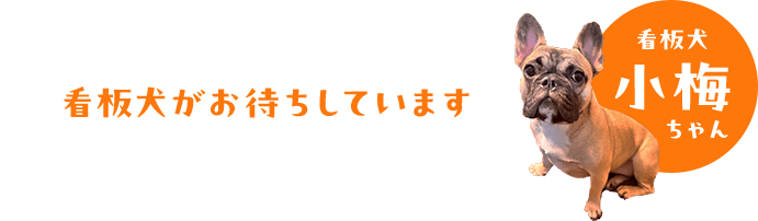 看板犬がお待ちしています